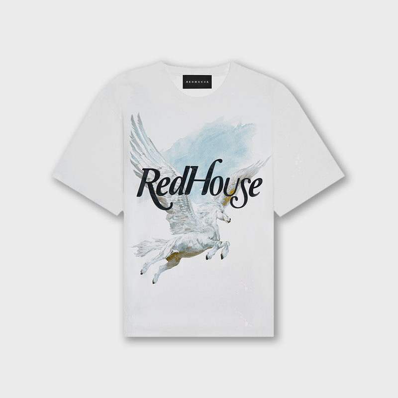RH TS133